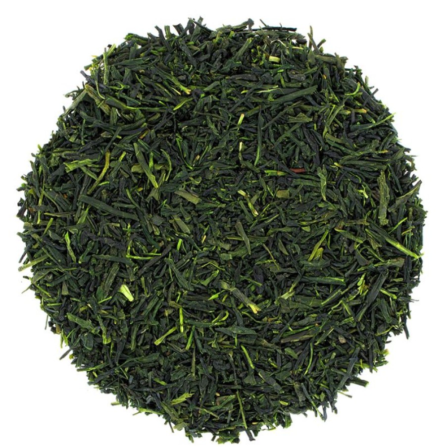 The Vert-Tiges The Vert | Sencha Cho BIO